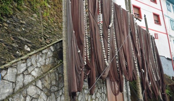 excursiones en "La Casa de la Abuela Milagros" casa rural por habitaciones en Asturias