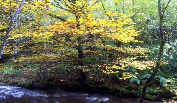 excursiones en "La Casa de la Abuela Milagros" casa rural por habitaciones en Asturias